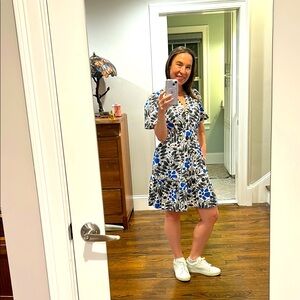 Anthropologie  The Somerset Dress in Blue and White